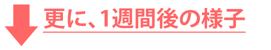 肥料 液体肥料 液肥 ホストップ 更に1週間後