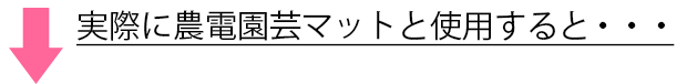 育苗に使用している様子はこちら