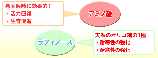 肥料 液体肥料 液肥 サカタ液肥GB アミノ酸 ラフィノース