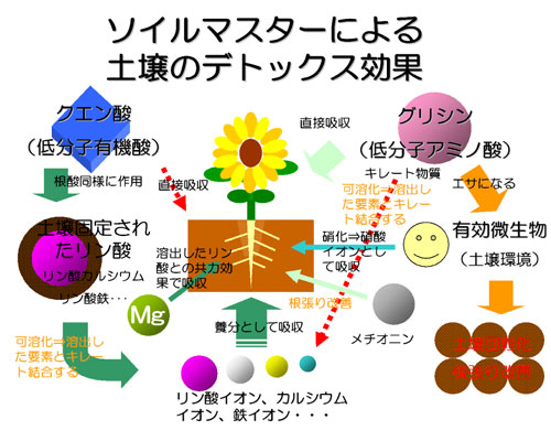 肥料 液体肥料 液肥 ソイルマスター 土壌改良 効果