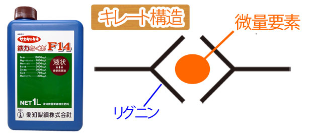 肥料 液体肥料 液肥 鉄力あくあF14