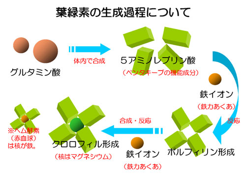 肥料 液体肥料 液肥 鉄力あくあF14 効果