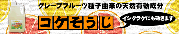 お墓 墓石に生えるコケ 苔 のオススメ掃除方法